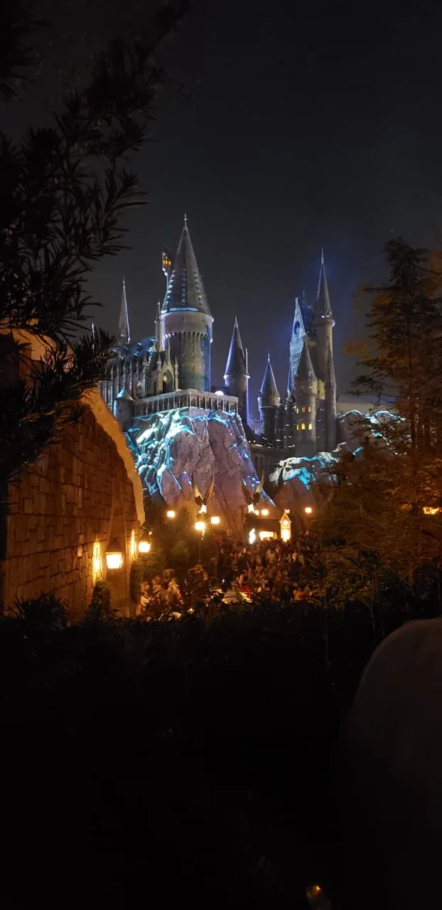 Walt Disney World Resort — Wikimedia Commons image